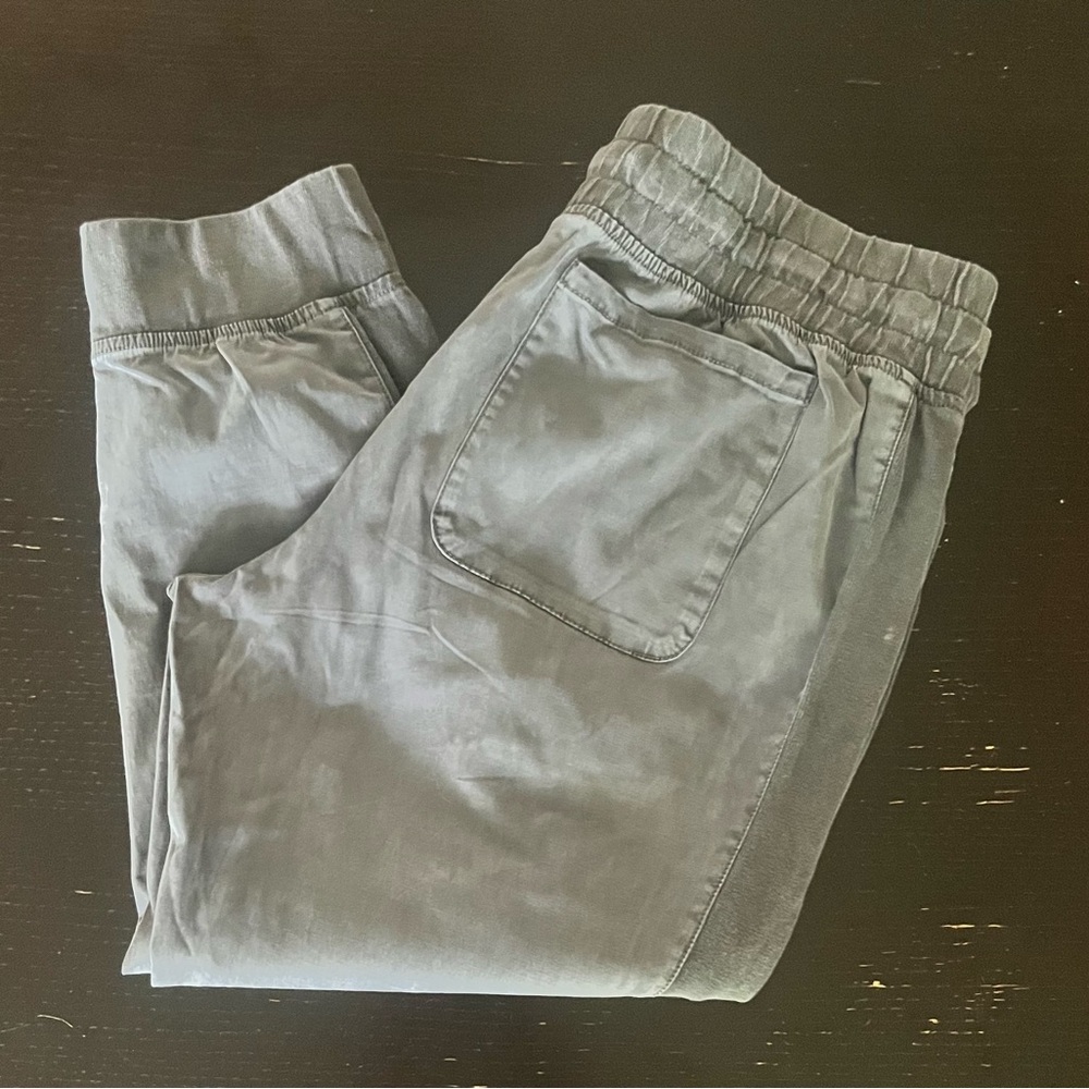 Time and Tru Charcoal Joggers